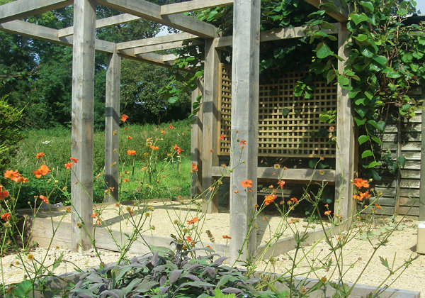 Patios and Pergolas